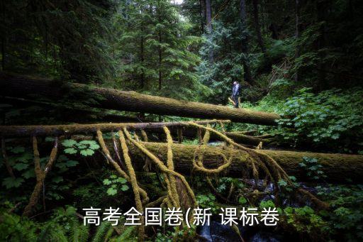 新課標一卷,河北高考使用新課標一卷，全國卷b，一卷較難