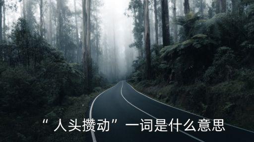 “ 人頭攢動”一詞是什么意思