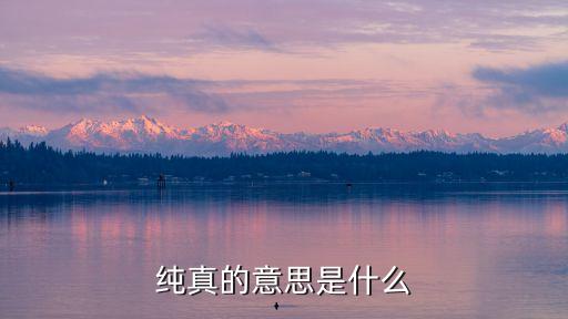 純真的近義詞，留意純真的近義詞