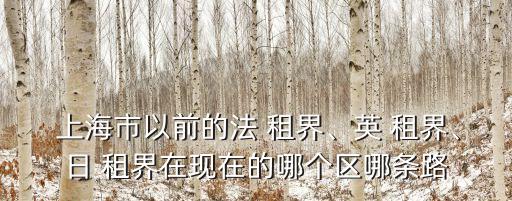 上海市以前的法 租界、英 租界、日 租界在現在的哪個區哪條路