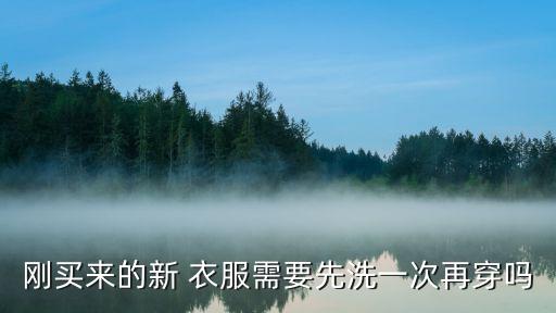新衣服買回來要洗嗎,從新衣服買回來最好洗好再穿