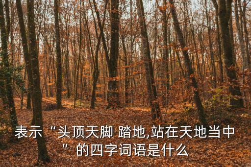 表示“頭頂天腳 踏地,站在天地當(dāng)中”的四字詞語是什么