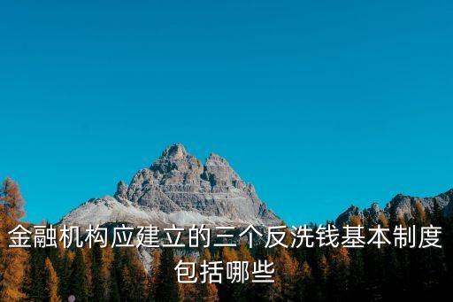 金融機構應建立的三個反洗錢基本制度包括哪些