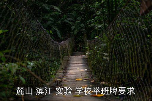 麓山 濱江 實驗 學校舉班牌要求