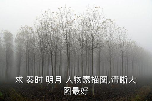 求 秦時 明月 人物素描圖,清晰大圖最好