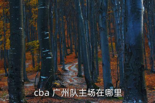  cba 廣州隊主場在哪里