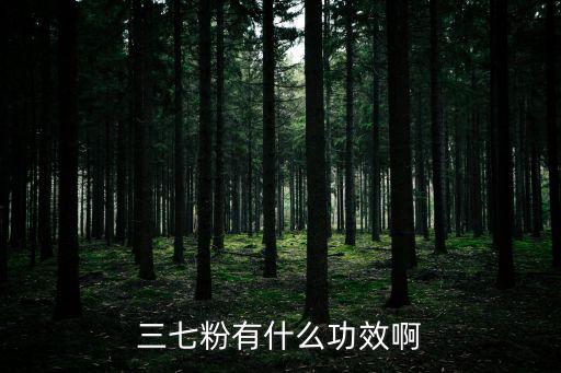 三七粉有什么功效啊