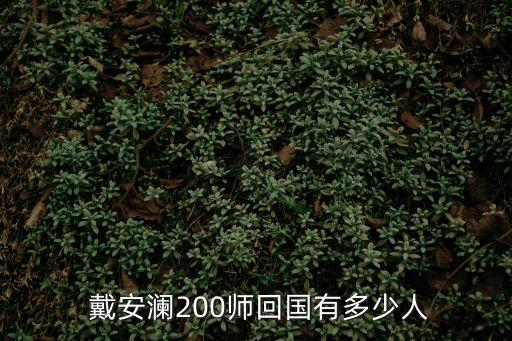 戴安瀾將軍,國民革命軍高級將領戴安瀾逝世