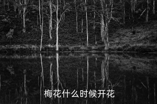梅花什么時候開,梅花的春夏秋冬季節(jié)花期