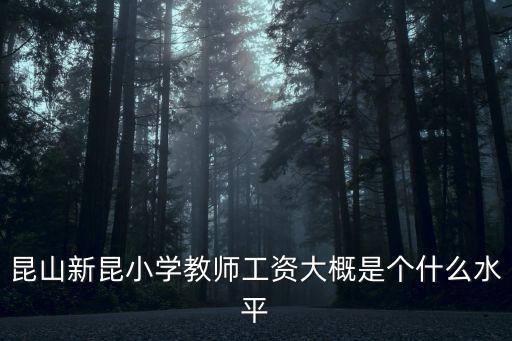 新昆小學，2012年新昆小學啥時候開學