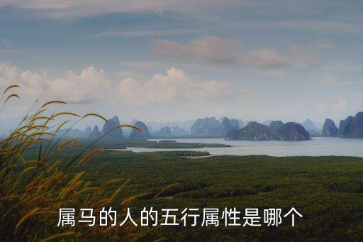馬五行屬什么，屬馬的人的五行屬性是哪個
