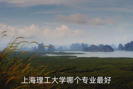 上海理工大學哪個專業最好