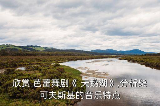 欣賞 芭蕾舞劇《 天鵝湖》,分析柴可夫斯基的音樂特點(diǎn)