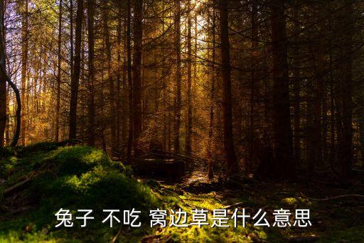 兔子不吃窩邊草,第十六集:兔子不吃窩邊草原來是這樣