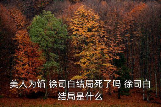 徐司白,《美人為餡》男主角徐司白死于半島地下