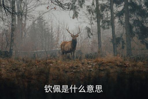 欽佩，欽佩是什么意思