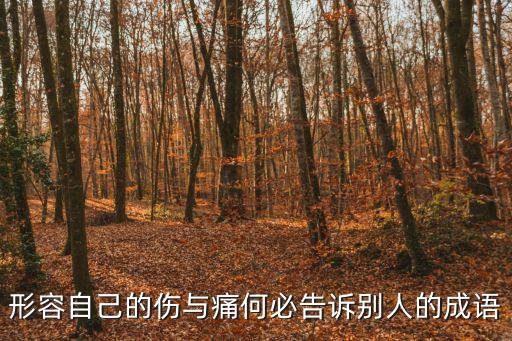 形容自己的傷與痛何必告訴別人的成語