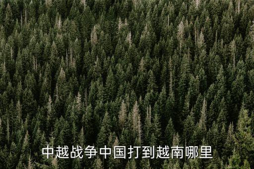 中越戰(zhàn)爭中國打到越南哪里