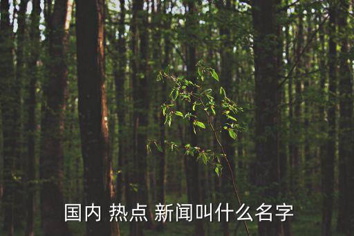  國內 熱點 新聞叫什么名字