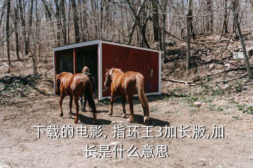 指環(huán)王3下載,指環(huán)王3:王者歸來第三集完整版