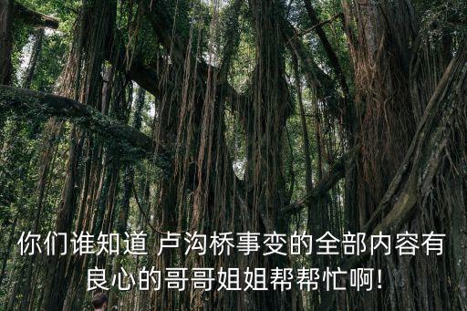 盧溝橋事變電影,影片講述七七事變的全面抗戰故事