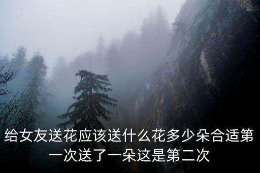 送花送多少朵合適，第一次送花該送幾朵