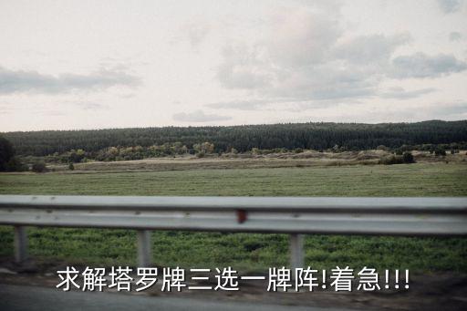寶劍女王,白宮直播學堂（四）:白宮傳奇