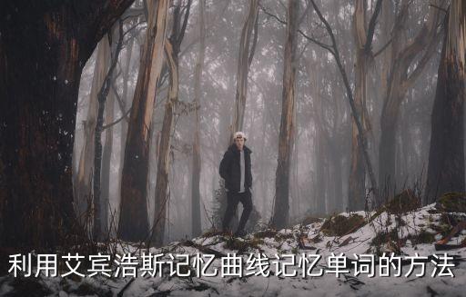曲線記憶法，利用艾賓浩斯記憶曲線記憶單詞的方法