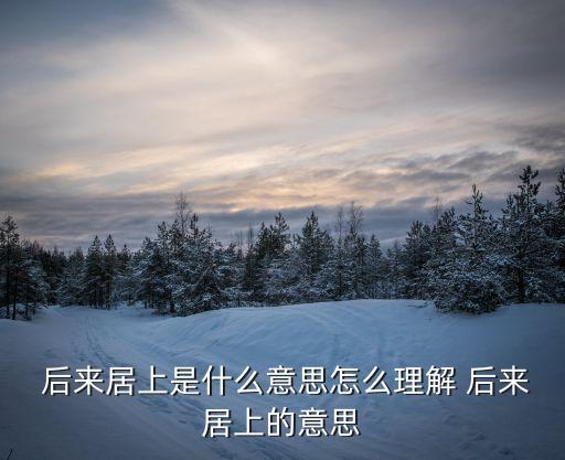 后來居上,后來者居上之