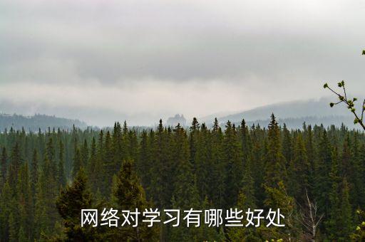 網上學習的好處，上網對學習有什么好處
