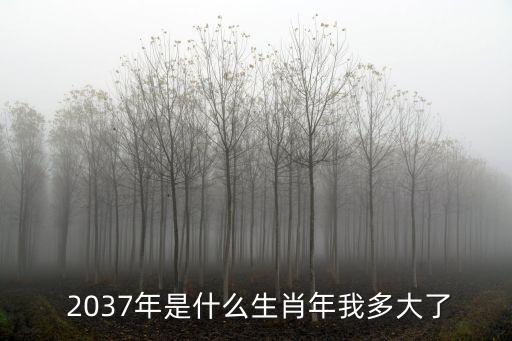  2037年是什么生肖年我多大了