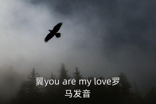 羅馬英語，雨中看羅馬的英文翻譯拜托啦