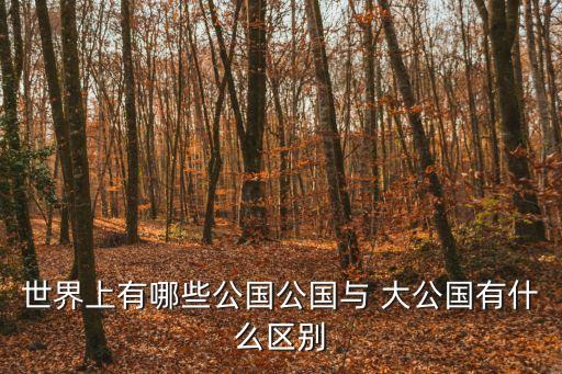 安道爾大公,世界上最難獲得護照的國家之一安道爾
