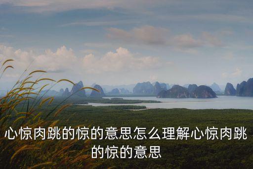 驚的意思,驚喜與驚訝之謎