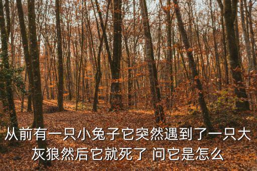 從前有一只小兔子它突然遇到了一只大灰狼然后它就死了 問它是怎么