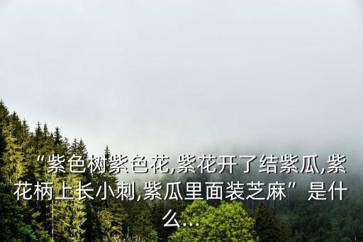 矮瓜,干的東西和魚一起燉是絕配!