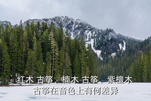 紅木古箏,紅木古箏聲色柔和音韻悠遠