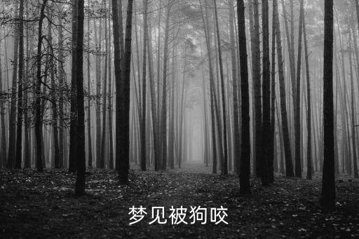 夢(mèng)見(jiàn)被小狗咬，夢(mèng)見(jiàn)被狗咬意味著什么