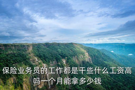 保險業務員的工作都是干些什么工資高嗎一個月能拿多少錢