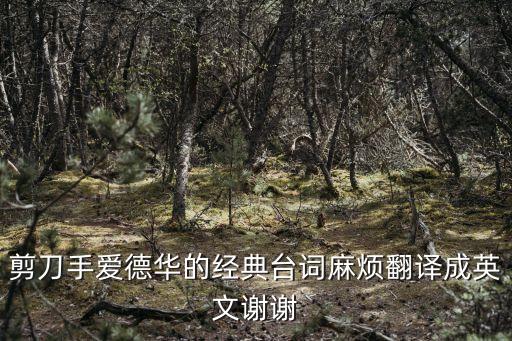 剪刀手愛德華經典臺詞，剪刀手愛德華的經典臺詞麻煩翻譯成英文謝謝
