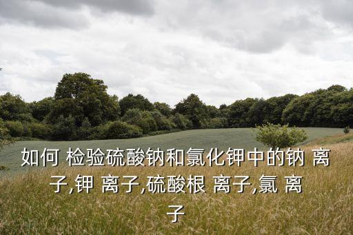 如何 檢驗硫酸鈉和氯化鉀中的鈉 離子,鉀 離子,硫酸根 離子,氯 離子