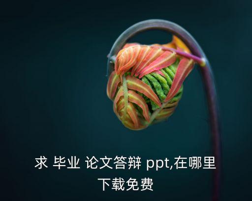 求 畢業 論文答辯 ppt,在哪里下載免費