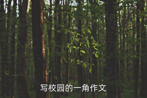 校園的一角，校園一角作文600字