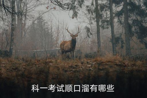 科一考試順口溜有哪些