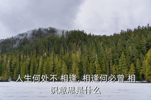 相逢何必曾相識是什么意思,第二集
