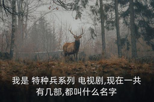 我是 特種兵系列 電視劇,現在一共有幾部,都叫什么名字