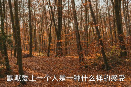 默默愛,如何讓他在你最美的時(shí)刻遇見我?