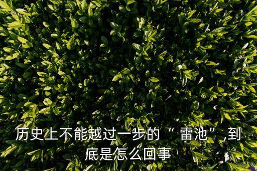 不越雷池,不能超越雷池步蘇貞昌寫信勸女友放下分手