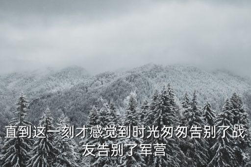 直到這一刻才感覺到時光匆匆告別了戰友告別了軍營