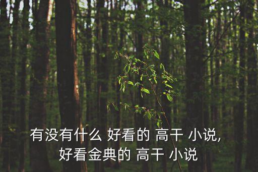 有沒有什么 好看的 高干 小說, 好看金典的 高干 小說